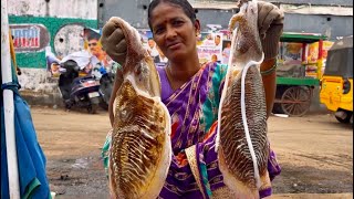 KASIMEDU🔥MR.LADY GIRL | HUGE BIG SEA SQUID CLEANING \u0026 CUTTING🦑🦑 | KASIMEDU FISH MARKET | FC VLOGG