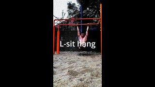 公園トレ - L-sit hang/腹筋