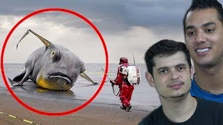 8 COISAS MISTERIOSAS ENCONTRADAS DEPOIS DE UMA TEMPESTADE