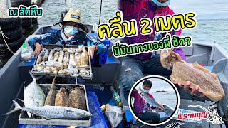 ตะลุย...สัตหีบ! ครึ่งวัน หมึก 7 โล / Eging \u0026 Microjigging @ Sattahip EP.2