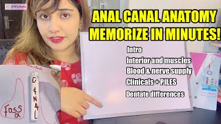 Anal Canal THE BEST CONCEPT FOR EXAM | Memorize in 20 minutes | Pelvis Anatomy