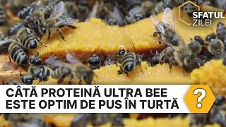 Cata proteina Ultra Bee este optim de pus in turta?