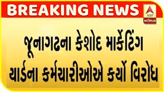 Junagadh: Employees Of Keshod Marketing Yard Protest | ABP Asmita