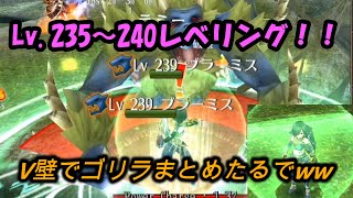 トーラム　レベリング Lv.235~240　V壁でブラーミス4体まとめ狩り♪