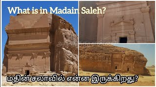 Madain Saleh - ALULA - Saudiarabia/மதின் சலா - அல்உலா - சவுதி அரேபியா