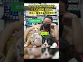 店里进老鼠3天没抓着主人给猫咪看监控，网友：猫和老鼠照进现实😂 猫和老鼠 搞笑 动物世界