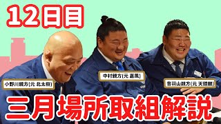 大相撲三月場所 親方生解説(12日目)