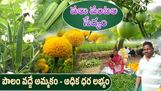 పలు పంటల సేద్యం | పొలం వద్దే అమ్మకం - అధిక ధర లభ్యం