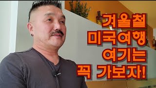 [미국 디씨아재] \