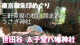 【世田谷 太子堂八幡神社】三軒茶屋の閑静な杜に佇む古社、うさぎ神社としても知られる太子堂八幡神社には、ただただ静かな空間が広がっていました