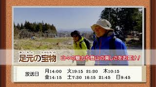 【新番組】足元の宝物　斜平山　2024年4月16日～CM