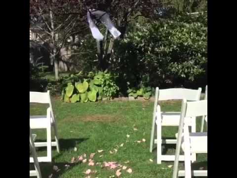 Garden Chairs Garden Chairs