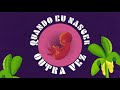 martinho da vila rio só vendo a vista lyric video