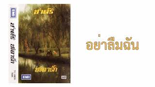 ชาตรี - อย่าลืมฉัน  (พ.ศ.2524)