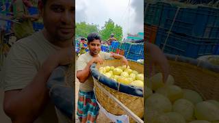 লেট ভ্যারাইটি গৌরবতী ও বাড়ি-৪ আম । let variety gouromoti mango | wholesale mango market kansat