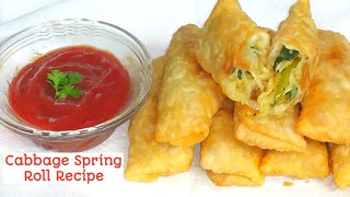 Cabbage Spring Roll Recipe | Snacks Recipe