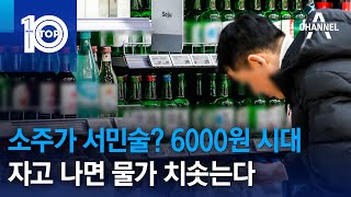 소주가 서민술? 6000원 시대…자고 나면 물가 치솟는다 | 뉴스TOP 10