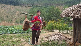 Catching chickens and picking vegetables to sell: The life of Ly Tieu Ca
