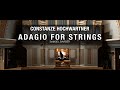 Adagio for Strings (S. Barber) - Constanze Hochwartner [Organ Solo]