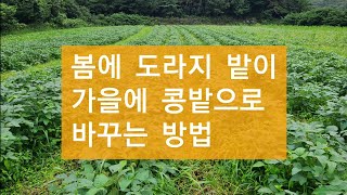 도라지 밭에서 콩을 재배하는 방법, 지구를 살리는 자연농 태평농원 강준호농부