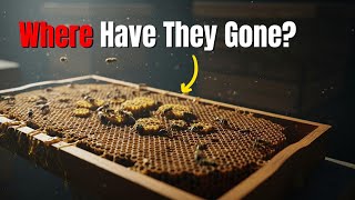 We’re SAVING the Wrong Bees — Here’s the Shocking Truth.