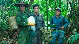River Survival Life: Wild Honey Harvest And Unique Steamed Fish In Forest