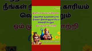 செவ்வாய்க்கிழமை காலை வணக்கம் #murgan #motivation #god