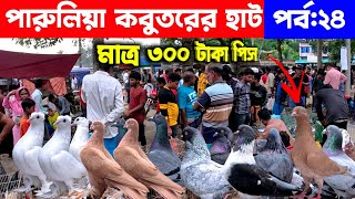 পারুলিয়া কবুতর হাটে পানির দামে কবুতর | kobutor hat 2024 | pigeon market in bangladesh | pigeon hat