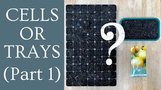 WANT TO AVOID PRICKING OUT? Let's see if sowing our onion seeds straight into modules works!