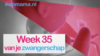 35 weken zwanger | ikenmama.nl