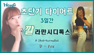 3일 다이어트 단기간 깔라만시 디톡스 (3days detox Diet) korean diet vlog