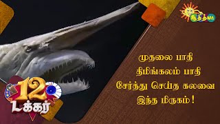 முதலை பாதி திமிங்கலம் பாதி சேர்த்து செய்த கலவை இந்த மிருகம்! | 12 Tucker | Adithya TV