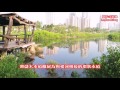 中都濕地公園~嶄新面貌與價值、讓人與自然更和諧、創造幸福健康的城市