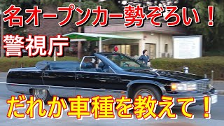 【希少オープンカー多数】クルマ好きのあなた！車種をすべて教えてください！【警視庁年頭部隊出動訓練】2024