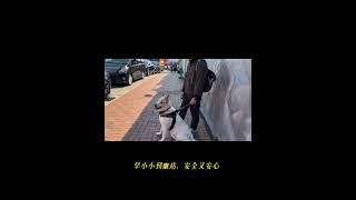 包包帶大家去坐九巴「寵物巴士」 part 1 #kmb pet bus #cutedog