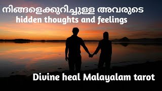 നിങ്ങളെക്കുറിച്ചുള്ള അവരുടെ hidden thoughts 💖❤️‍🔥and feelings 🪷😇🩷🧿Divineheal Malayalam tarots 🩷😇