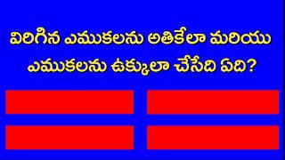 GK In Telugu  || GK Question Telugu || GK Question and Answer || MRK GK TALKS