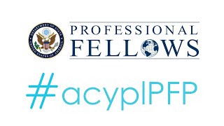 Professional Fellows Program 2020 Review