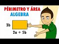 PERÍMETRO Y ÁREA CON EXPRESIONES ALGEBRAICAS Super facil - Para principiantes