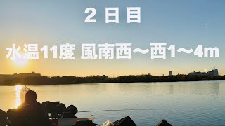 【鯉釣り】鯉の紀州釣り・淀川【2日目】南西風キョーレツ！ 何一つ寄らん！