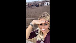 Beef.. From Pasture to Plate