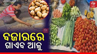 Potato Shortage- ହାଟରେ ଆଳୁ ଉଭାନ; ୫୦ ଉପରେ ପରିବା ଦର, ହନ୍ତସନ୍ତ ଖାଉଟି ଓ ବ୍ୟବସାୟୀ