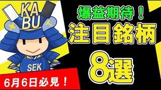 株式投資 爆益期待！6月6日用注目銘柄！ SEKの株TV