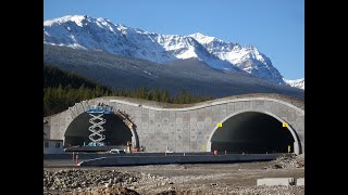 Corrugated Steel Bridge and Tunnel Solutions