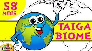 Learning Videos - Taiga Biome Compilation - Animated Learning Videos For Children -