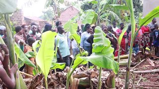 Agabuutikidde Abatemu bateeze omusiisi wa 'Chips' mu kiro ne bamutta omulambo nebagusuula mu lusuku