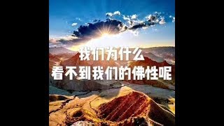 201506 我们为什么看不到我们的佛性呢21988