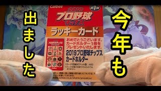 【カード】2019プロ野球チップス第1弾BOX開封その２＜前編＞＜足軽魂＞