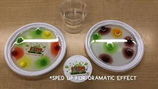 COOL SCIENCE For KIDS 15: A Skittles Rainbow At Home Experiment