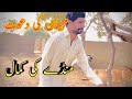 Saraiki funny 11 chor pakra gia || saraiki funny video